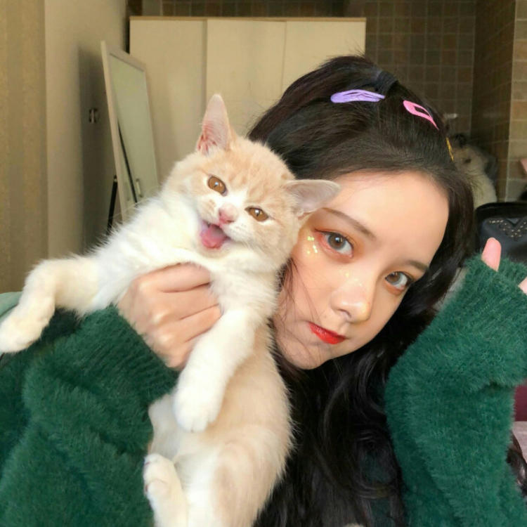 吉田俊司 - 猪蜜蜜电视剧大全在线观看11 - 小程序看剧
